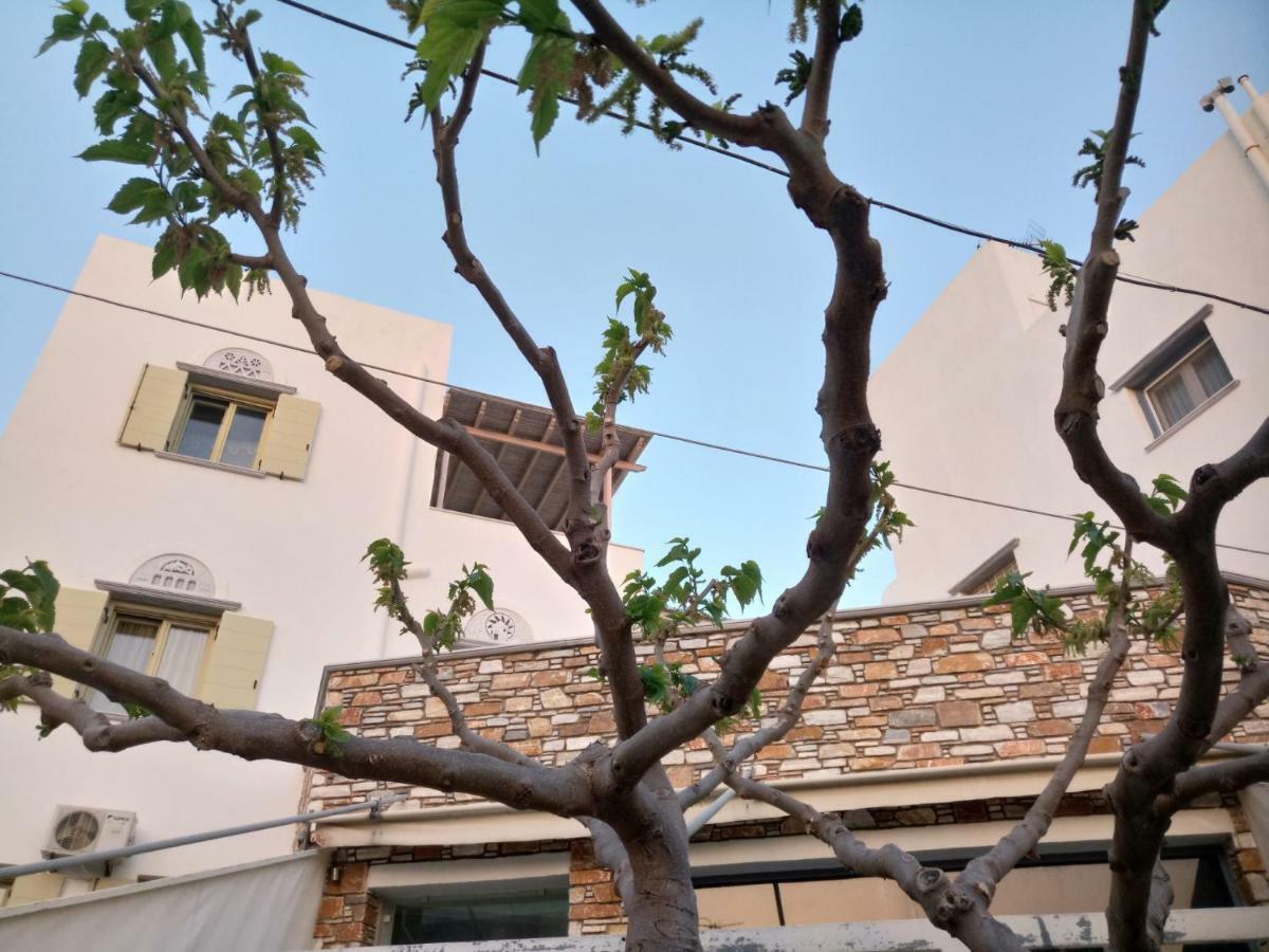 Best View House Tínos Dış mekan fotoğraf